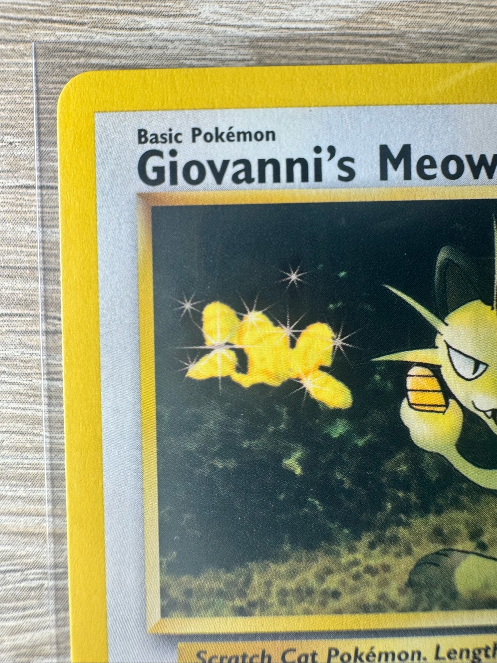 Giovanni's Meowth #43/Pokemon Gym Challenge - Picture 2 of 11